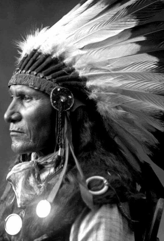 Black and white profile portrait of a Plains leader wearing a feathered warbonnet